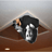 Attic_Annie