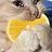 Ayesha_Altugle