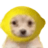 Espirlick