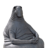 HedgehogZero