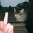 I_hate_cats