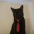 MaggyTheCat