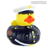 Pato_Sentado