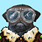 PilotPug010-live