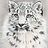 SnowCat___
