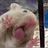 SpaceCatPizza