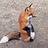 StrAnGe_ReD_FoX