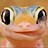 TheGekster