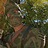 cloneofthe_501st