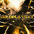 gold316