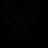 Ancient_Cheetah