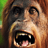 Cheshirsky_KOTIA