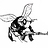 DrFLY