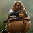 furious_gopher