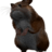 Ice_Cricetus